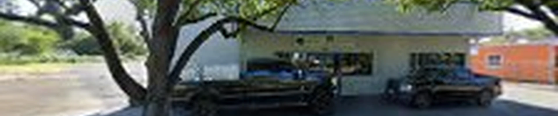 Glass Tree Care & Spray Service Inc