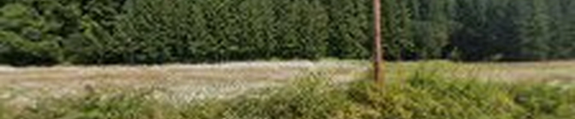 Mid-Valley Woodsmen LLC