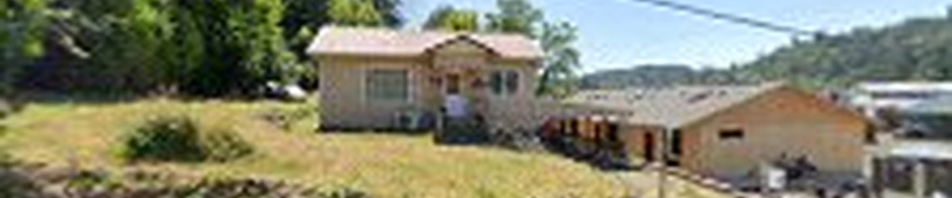 541 Tree LLC