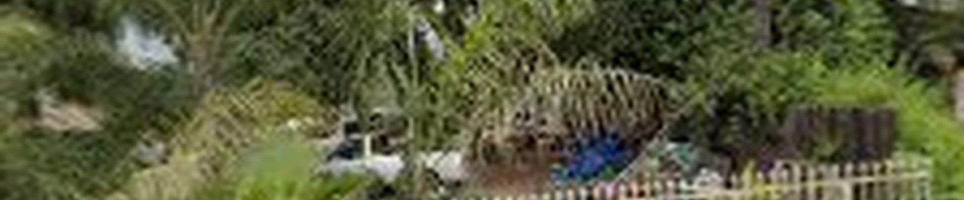 Tiger Landscape & Tree Service