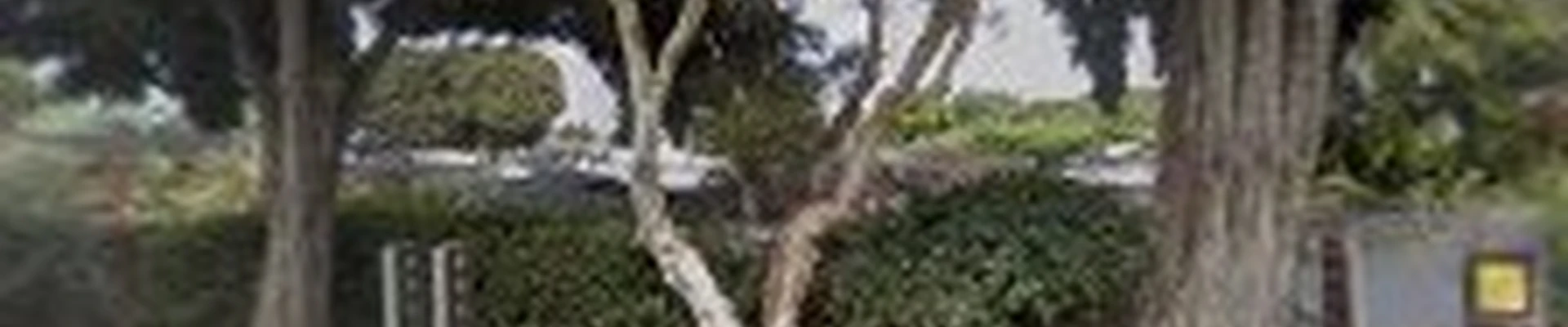 Anderson's La Costa Nursery