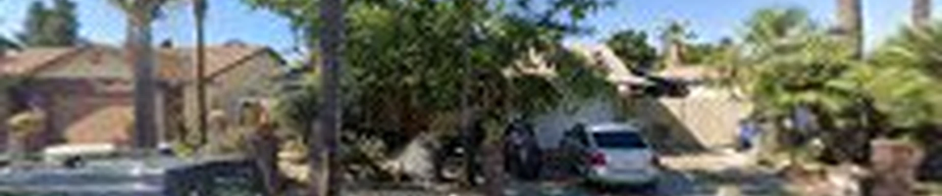 Vaca Tree & Land Care