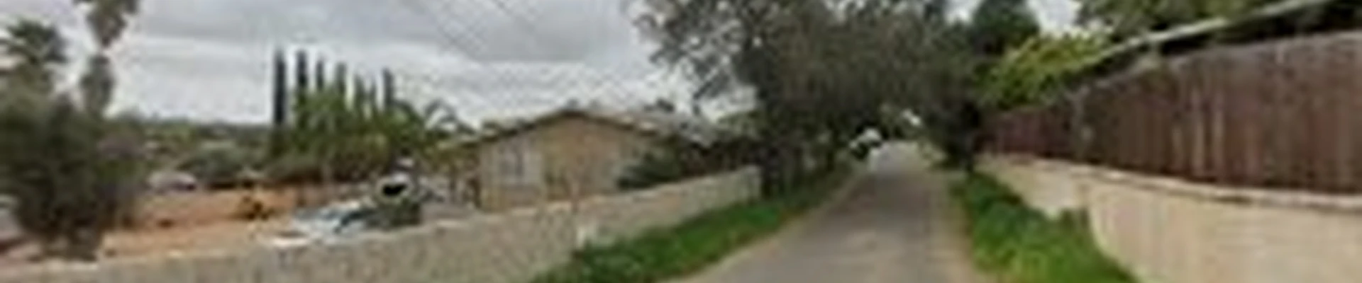 Queretaro Tree Service
