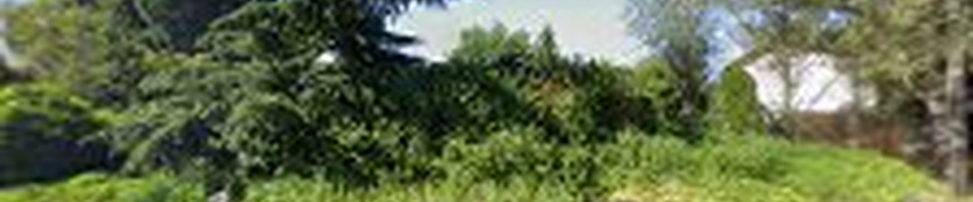 Caudle's Tree Service