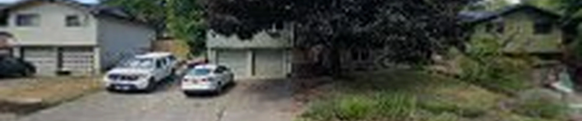 The Tree Reaper L.L.C