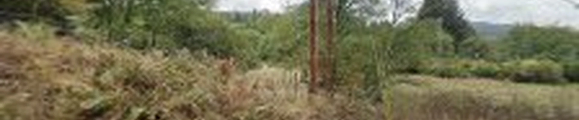Silkwood Tree Industries