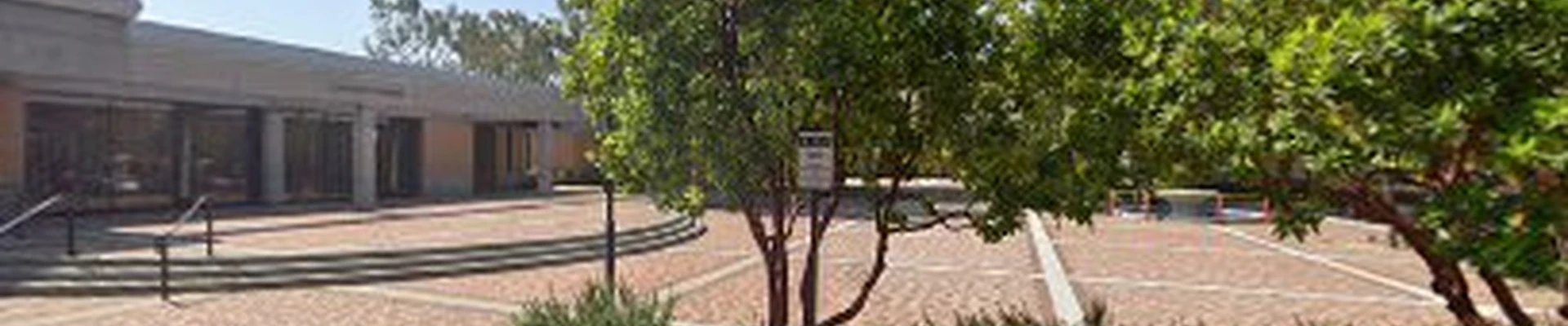 Tree Trimming San Dimas