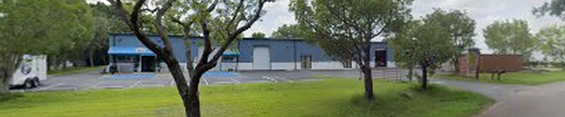 The Tree Marshall Florida