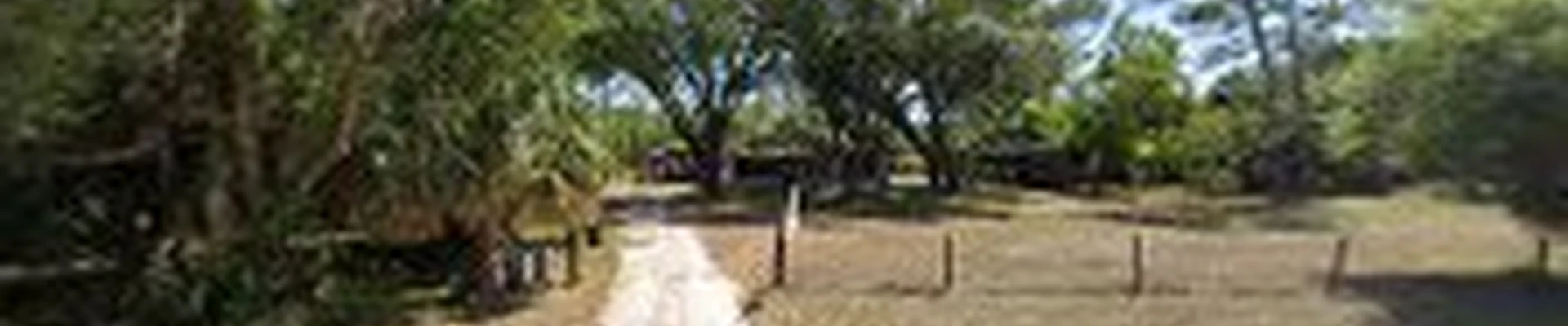 Critical Tree Service Inc