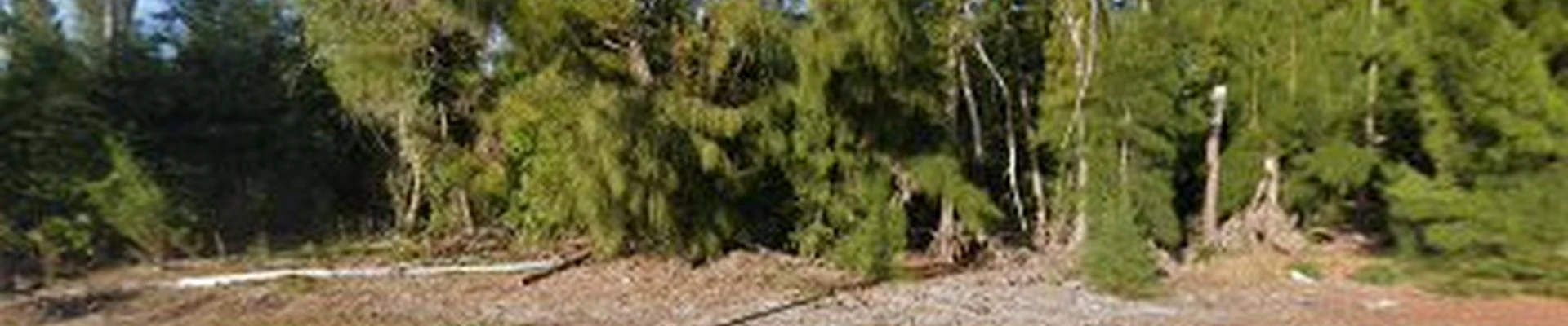Sanibel Stump Grinders Inc.