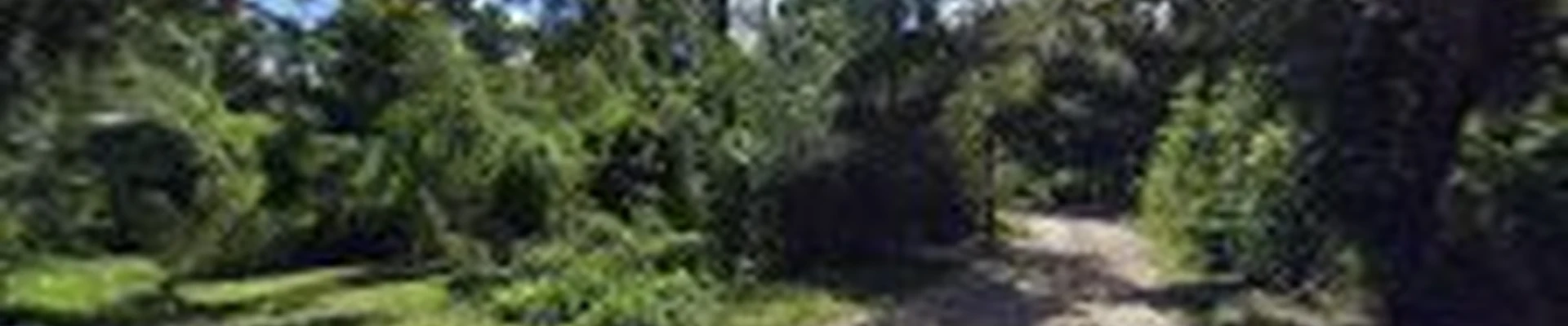 SWFL Chimney Caps Inc.