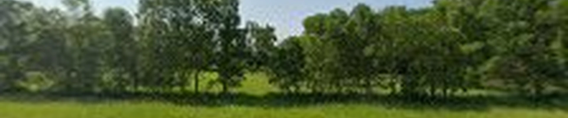 Midwest Tree Service LLC