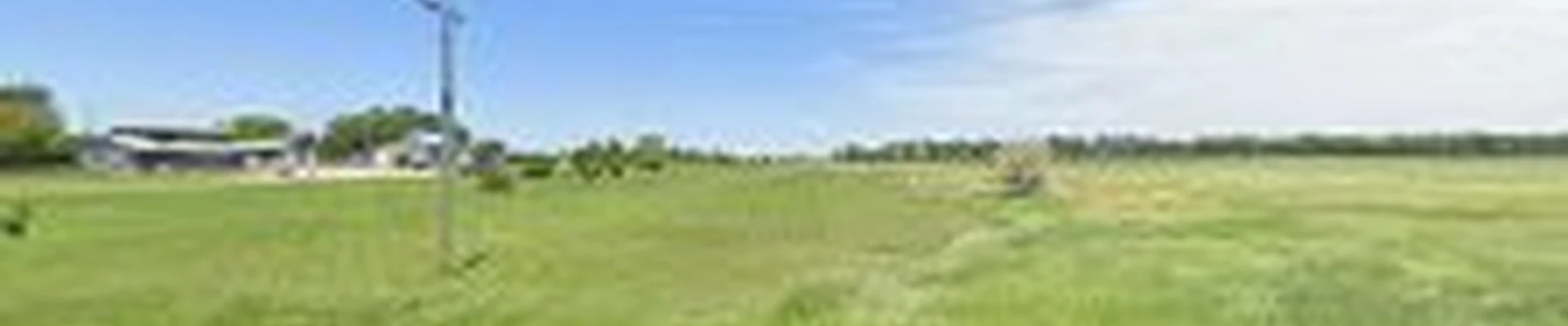 Timber Tree Service LLC