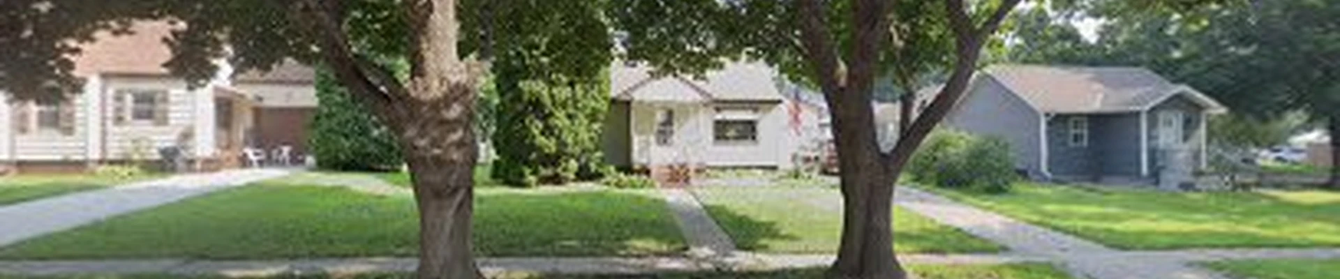 A & V Tree Services