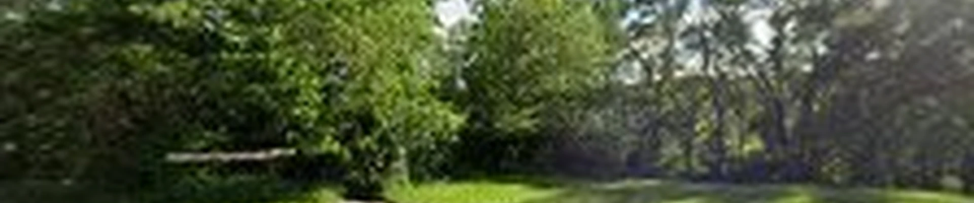 K & M Tree Service