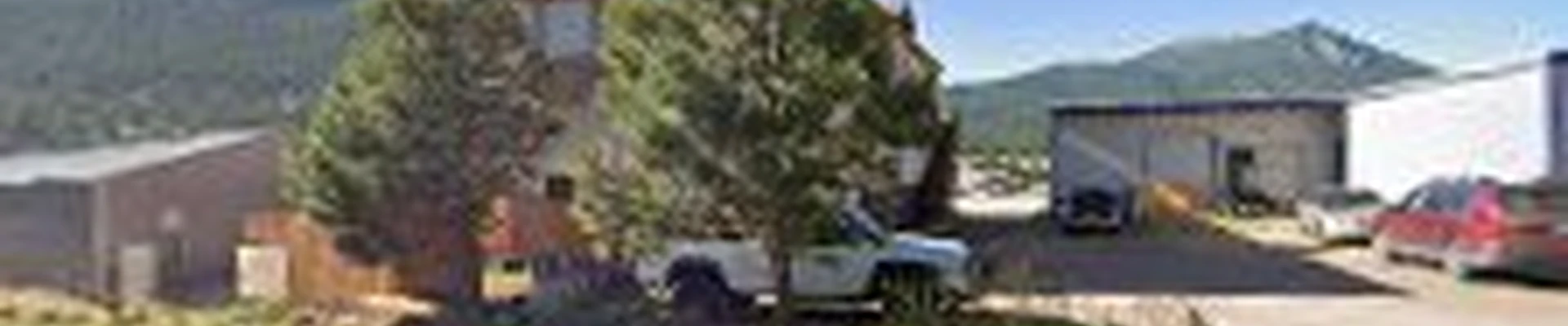 Alpine Tree Service, Estes Park