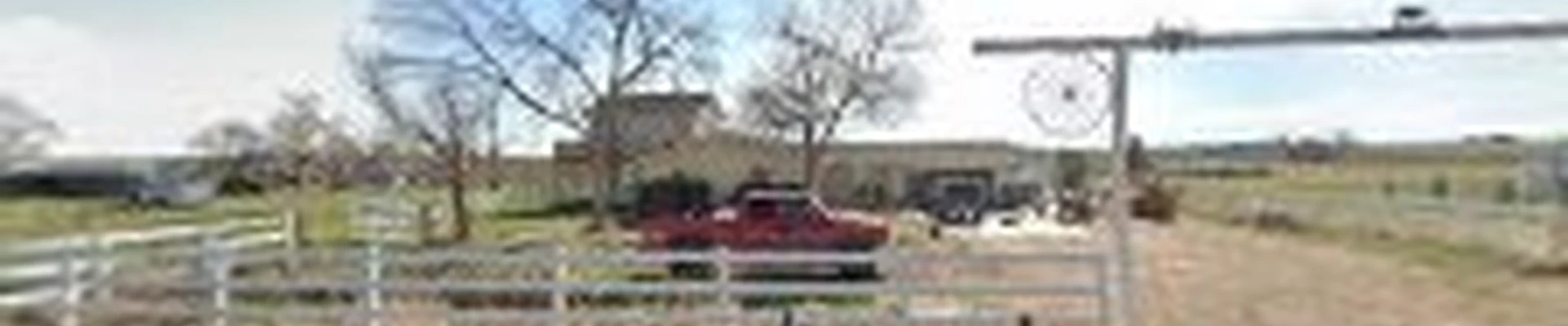 AP Tree Service