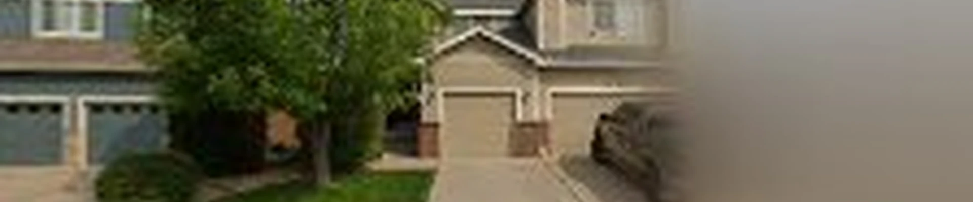 Paradise Tree Services