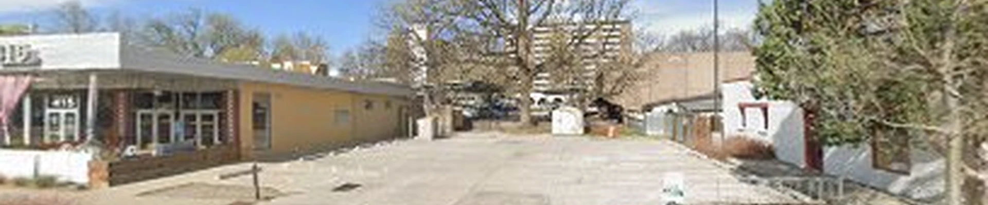 The Choice City Tree