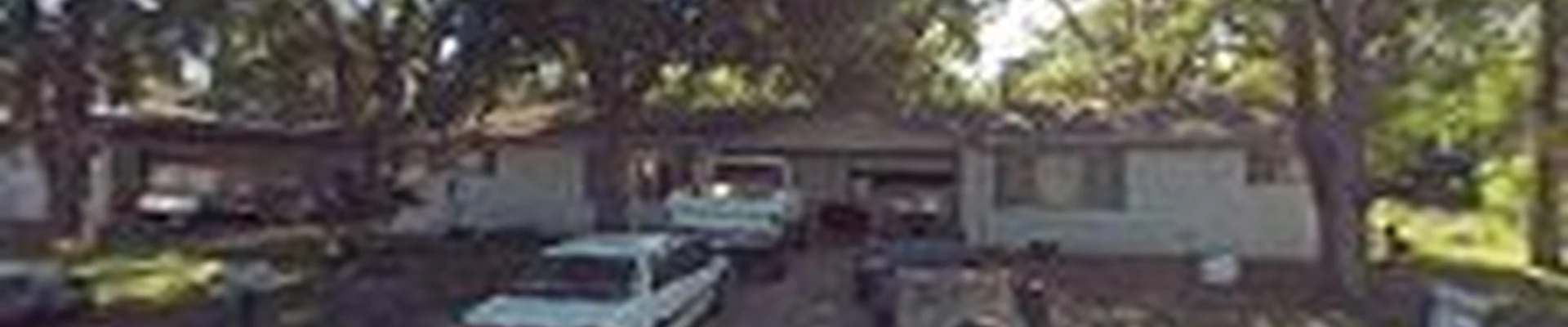 Above the canopy LLC