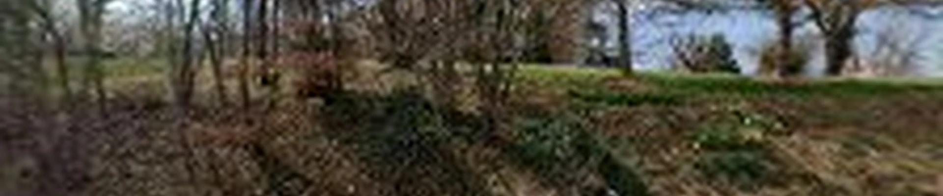 Oasis Tree Care, LLC