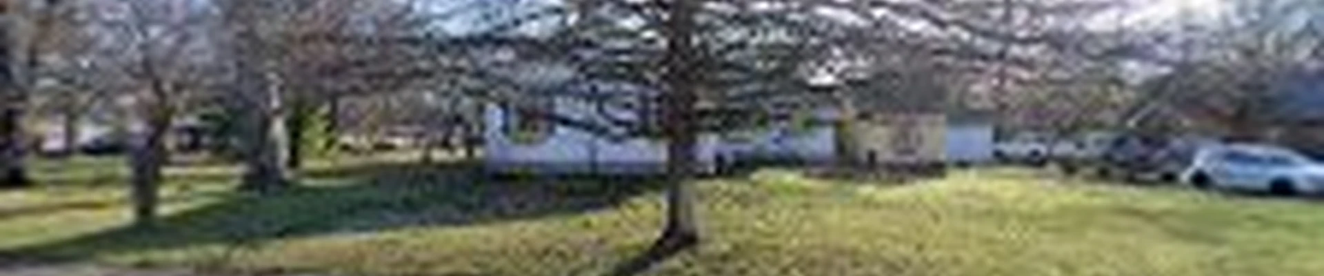 Tree Of Life Arborist Services LLC