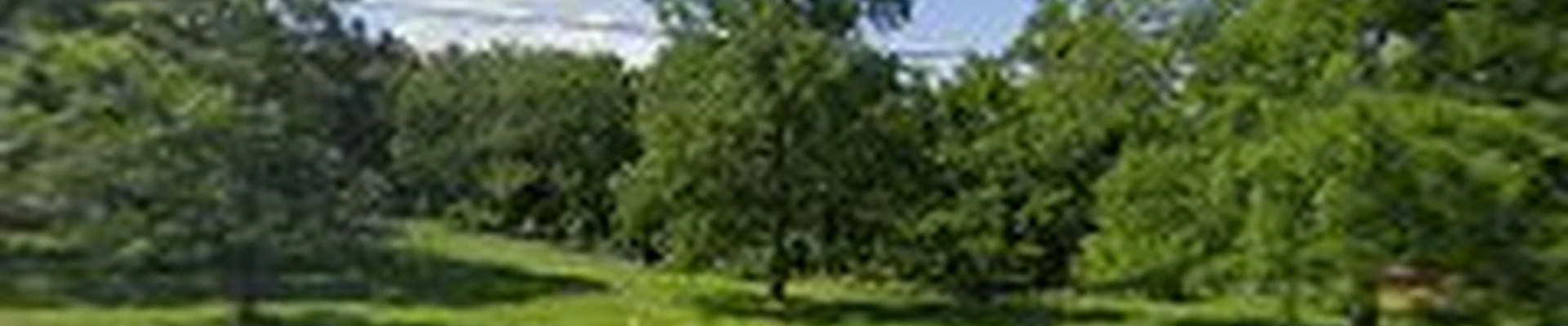 JH Advantage Tree Service