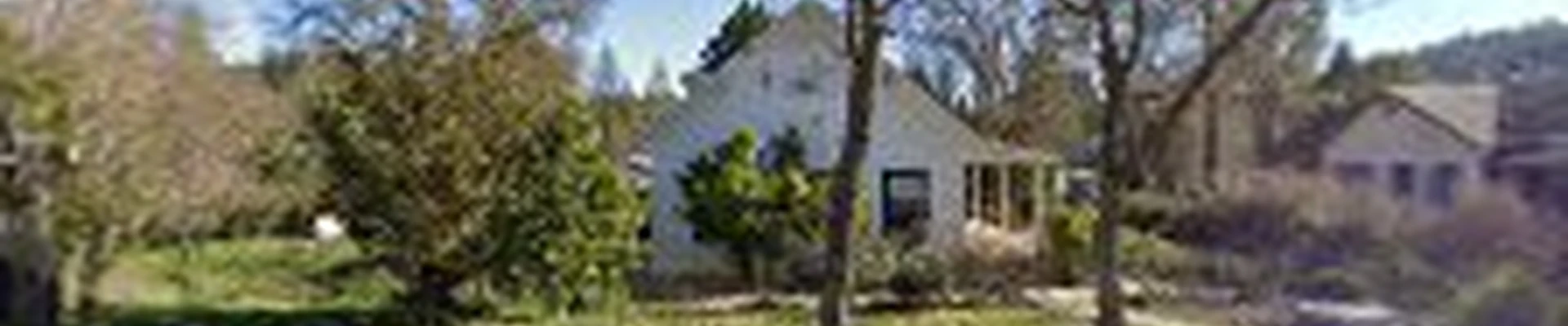 Rubini Tree Service