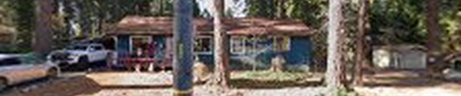 A-Team Tree Service Inc