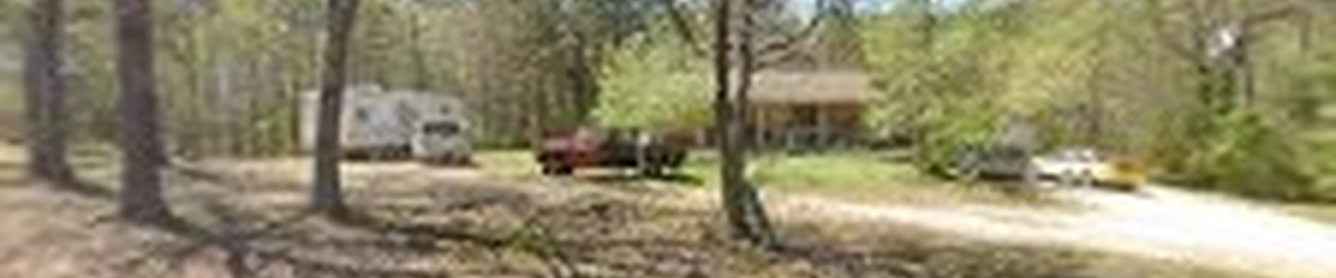 Chris's trimming tree service