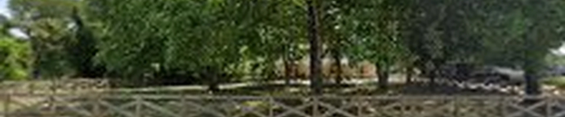 JK Stump Grinding