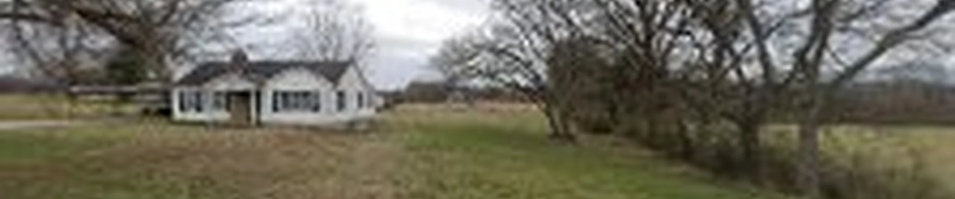 Volunteer Tree Company