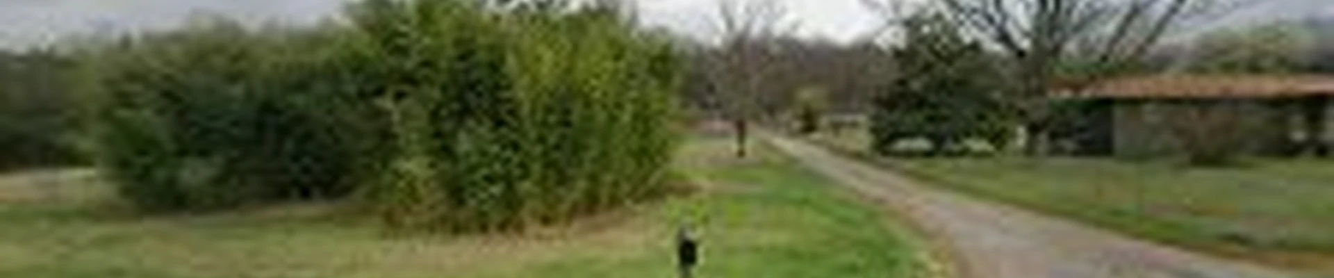 Tree Care Company