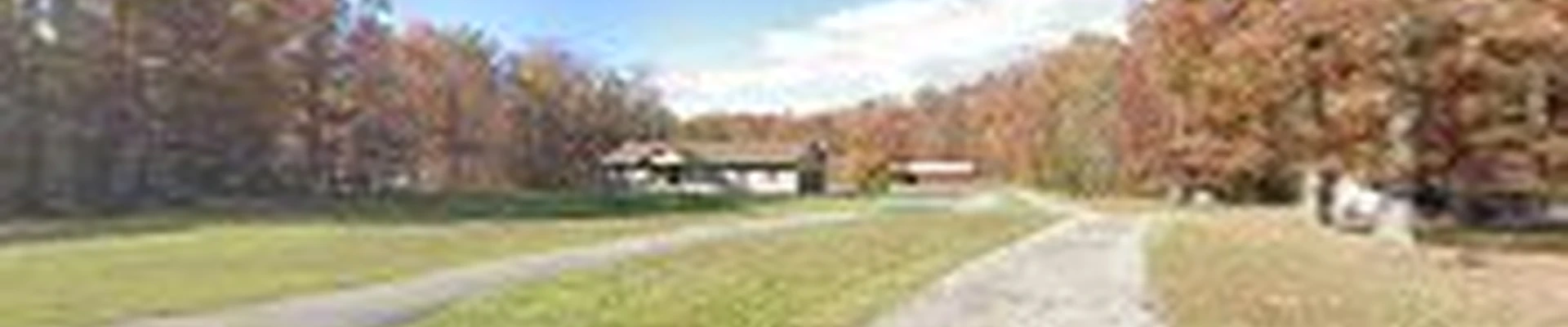 Larry Breece Tree Service