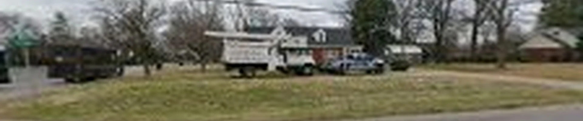 ANYTHING OUTDOORS TREE SERVICE