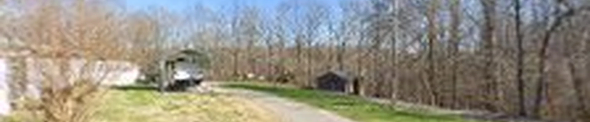 Miller tree service
