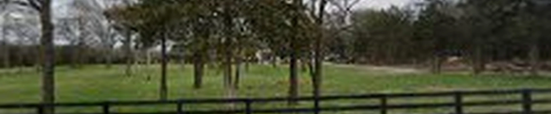 Cassady’s Lawn & Tree Work