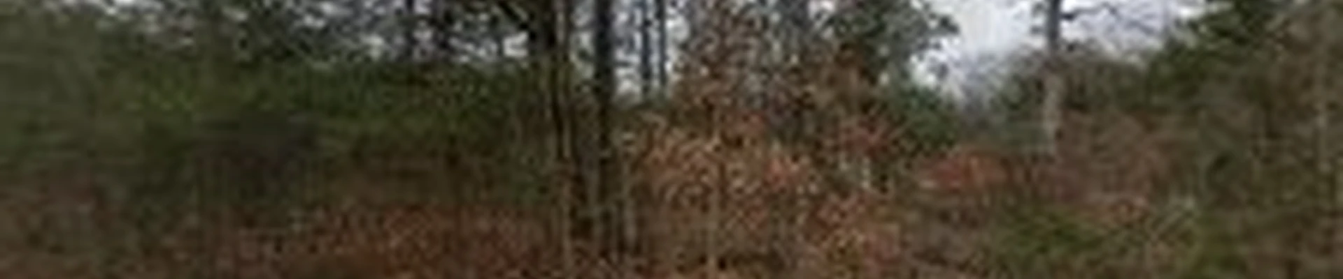 MID TN CES, LLC