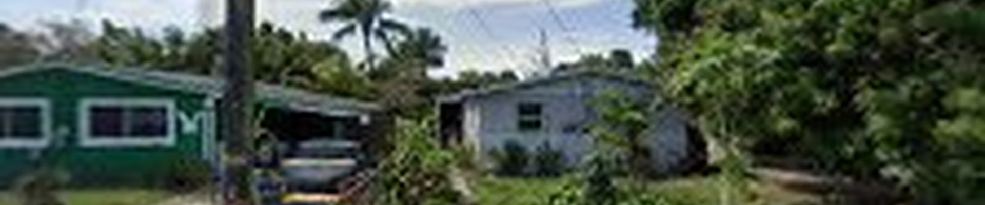 Angie's Lawn Maintenance & Tree Service