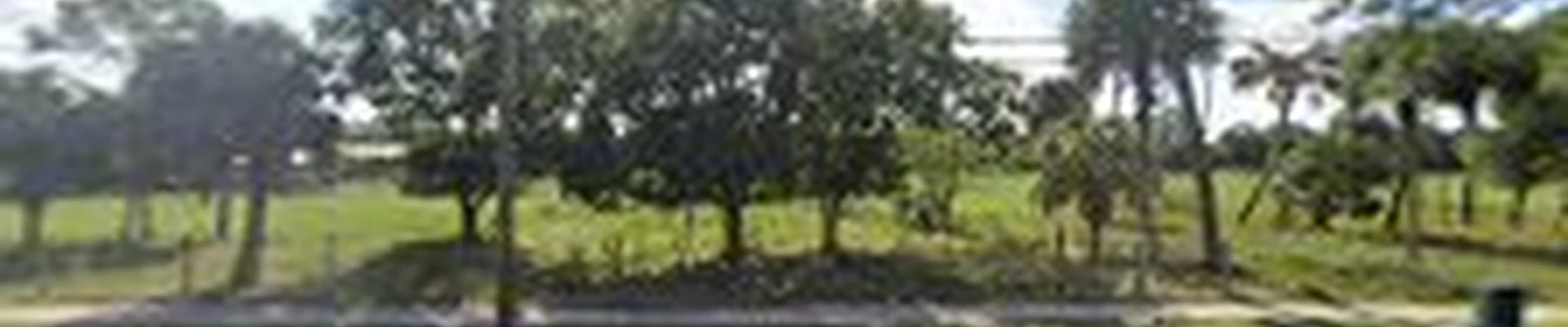 Selective Land Clearing