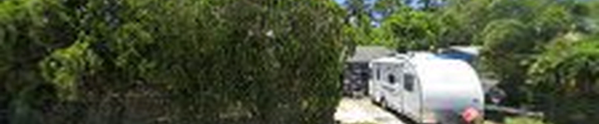 George's Tree and Lawn Service
