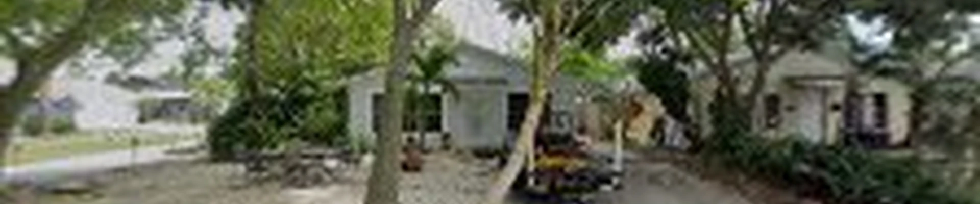 Pro Tree Services