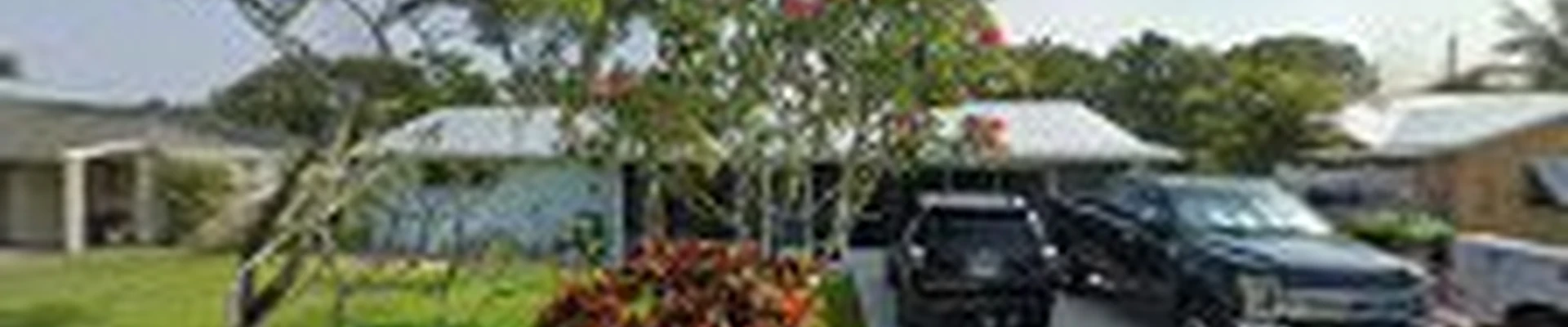 Dixie Tree Services