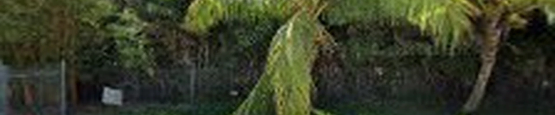 Vale Environmental Services