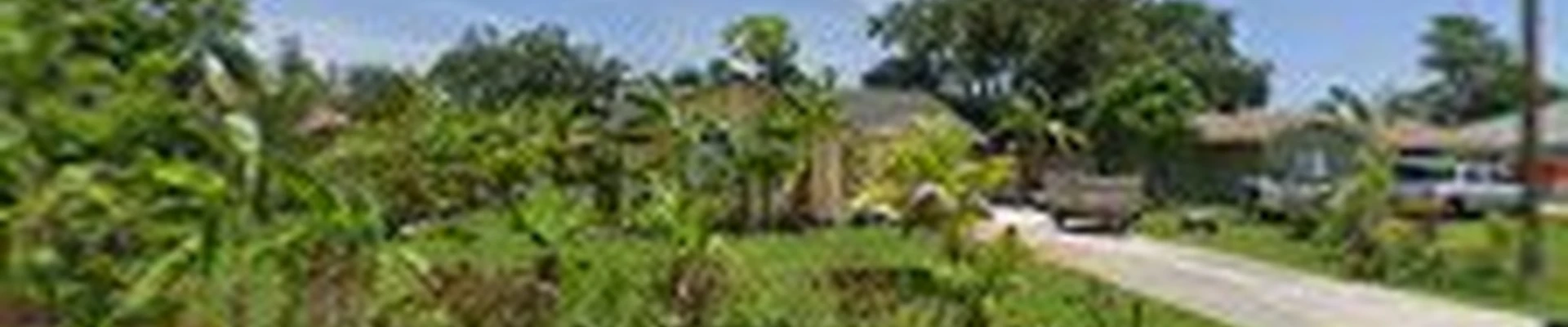 Rick's Tree Trimming LLC