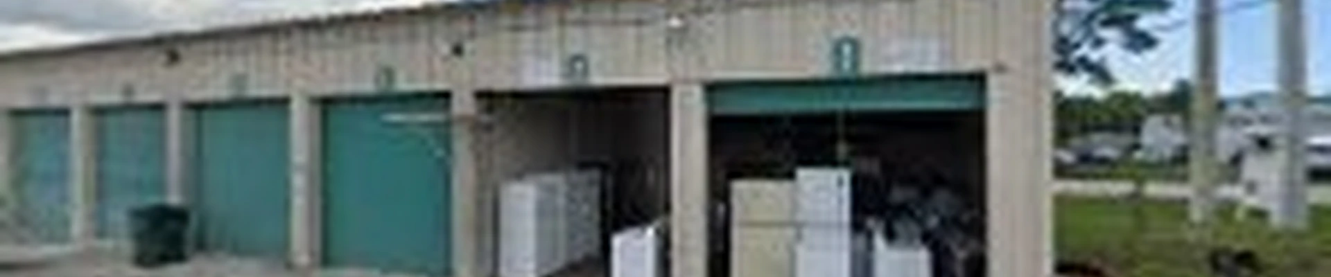 Fort Pierce Tree Services