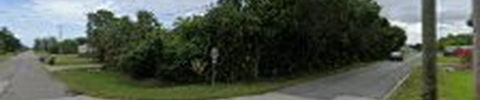 1 Call Pro Lawns, LLc & Tree service/Stump grinding