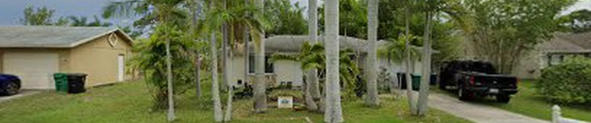 Vincent Galio Tree and Lawn Care