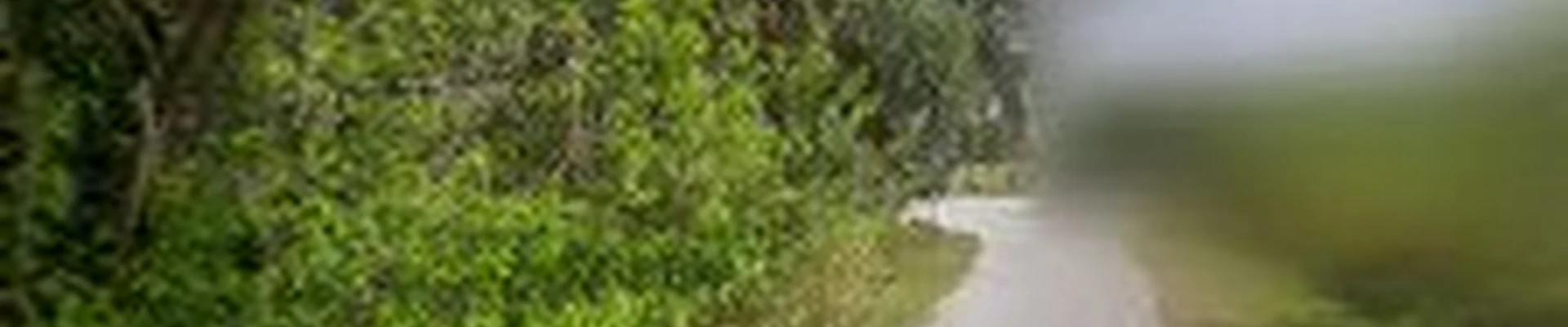 PCF Enterprises, Inc Tree service