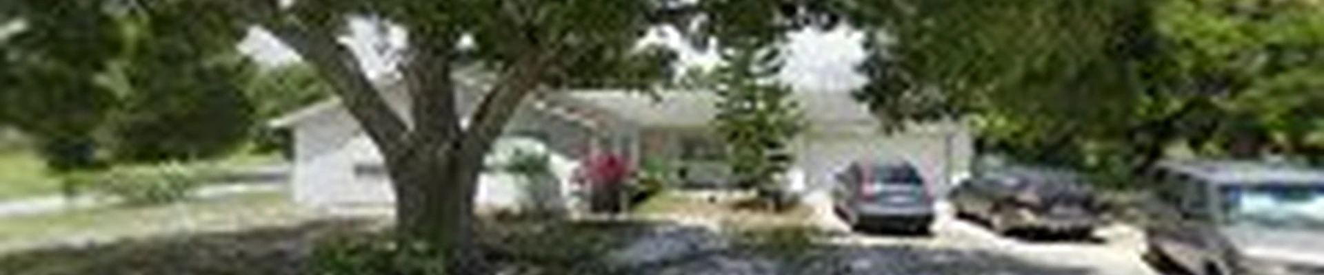 Javi's Tree Service LLC